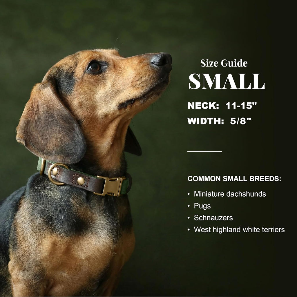 PU Leather Dog Collar for Small Dogs Puppy, Soft Lining, Green S | All-day Comfort for Daily Walks and Backyard Play, Quick Release Metal Buckle for Easy On & Off, D-Ring for Leash, Easy Clean
