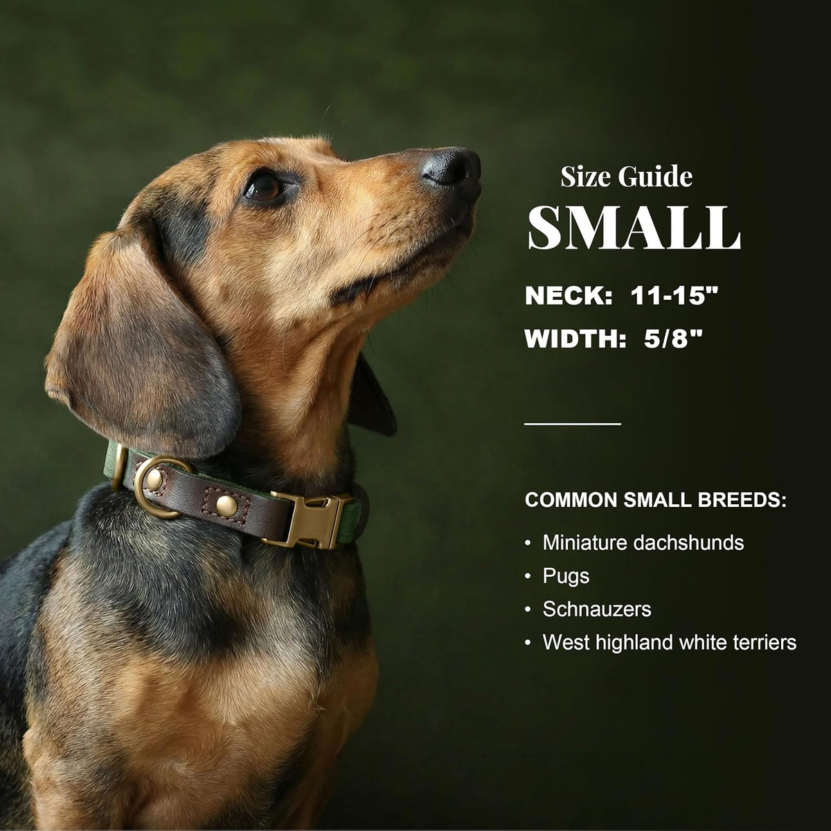 PU Leather Dog Collar for Small Dogs Puppy, Soft Lining, Green S | All-day Comfort for Daily Walks and Backyard Play, Quick Release Metal Buckle for Easy On & Off, D-Ring for Leash, Easy Clean