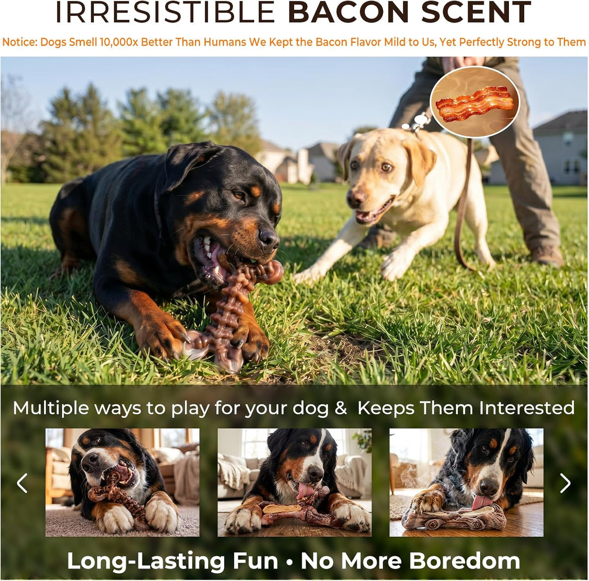 3-Pack Indestructible Dog Chew Toys for Aggressive Chewers, 25-90lbs | Bacon Flavored Rock-Hard Solid Nylon Dog Bones for Medium & Large Breeds, Keeps Them Busy, Dental Textured, Long Lasting - XL