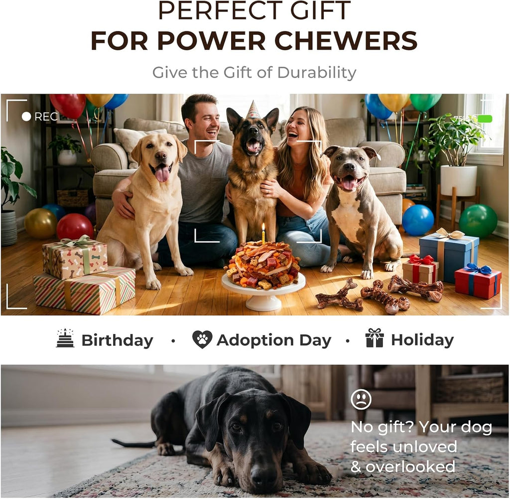 3-Pack Indestructible Dog Chew Toys for Aggressive Chewers, 25-90lbs | Bacon Flavored Rock-Hard Solid Nylon Dog Bones for Medium & Large Breeds, Keeps Them Busy, Dental Textured, Long Lasting - XL