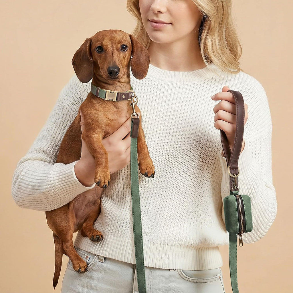PU Leather Dog Collar for Small Dogs Puppy, Soft Lining, Green S | All-day Comfort for Daily Walks and Backyard Play, Quick Release Metal Buckle for Easy On & Off, D-Ring for Leash, Easy Clean