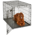 42-Inch iCrate for Large Breeds, 71-90 lbs, Single Door Folding Dog Crate with Divider Panel, Leak-Proof Tray & Secure Latch, Portable, Durable & Easy to Assemble