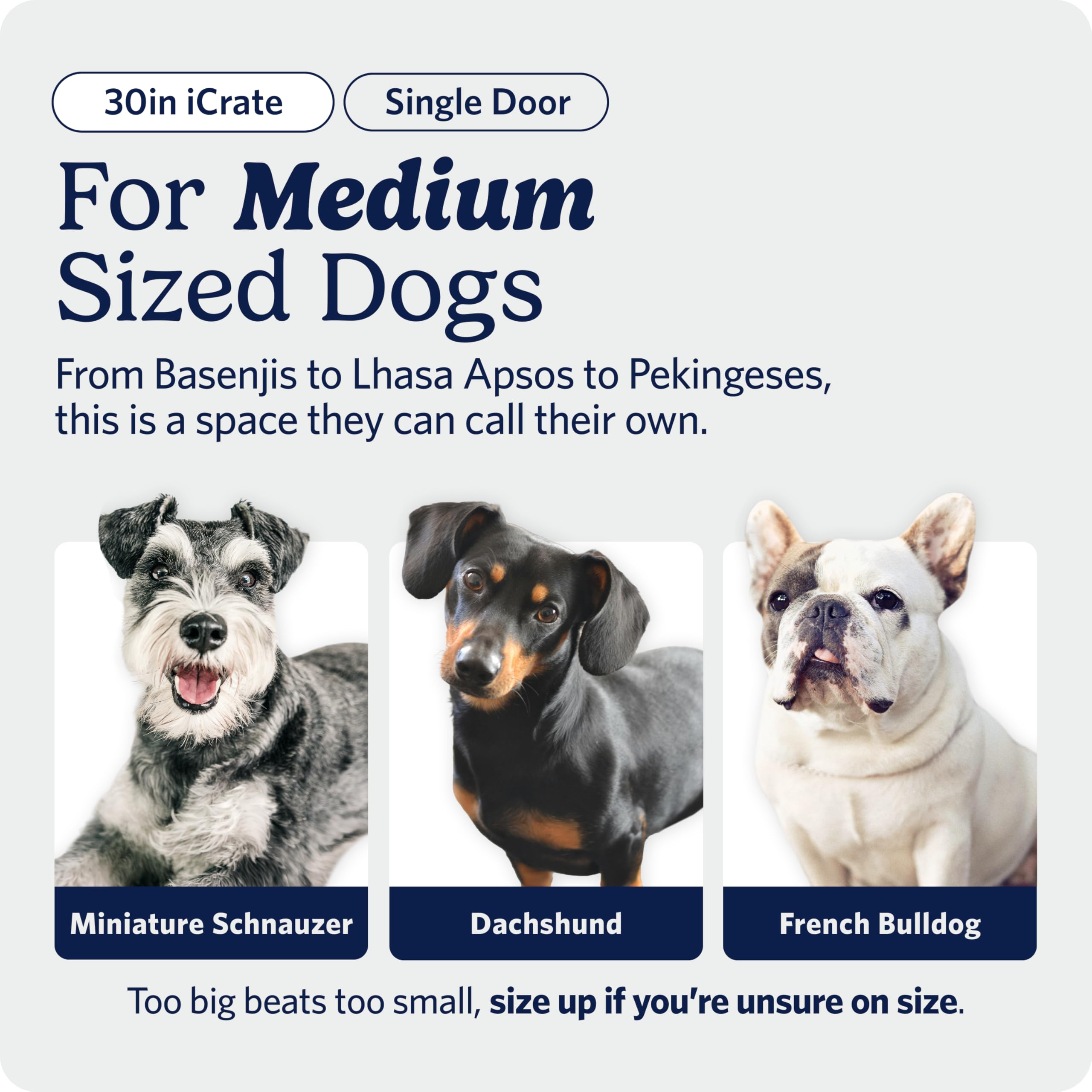30-Inch iCrate for Medium Breeds, 21-40 lbs, Single Door Folding Dog Crate with Divider Panel, Leak-Proof Tray & Secure Latch, Portable, Durable & Easy to Assemble
