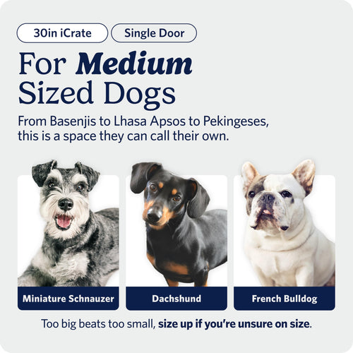 30-Inch iCrate for Medium Breeds, 21-40 lbs, Single Door Folding Dog Crate with Divider Panel, Leak-Proof Tray & Secure Latch, Portable, Durable & Easy to Assemble