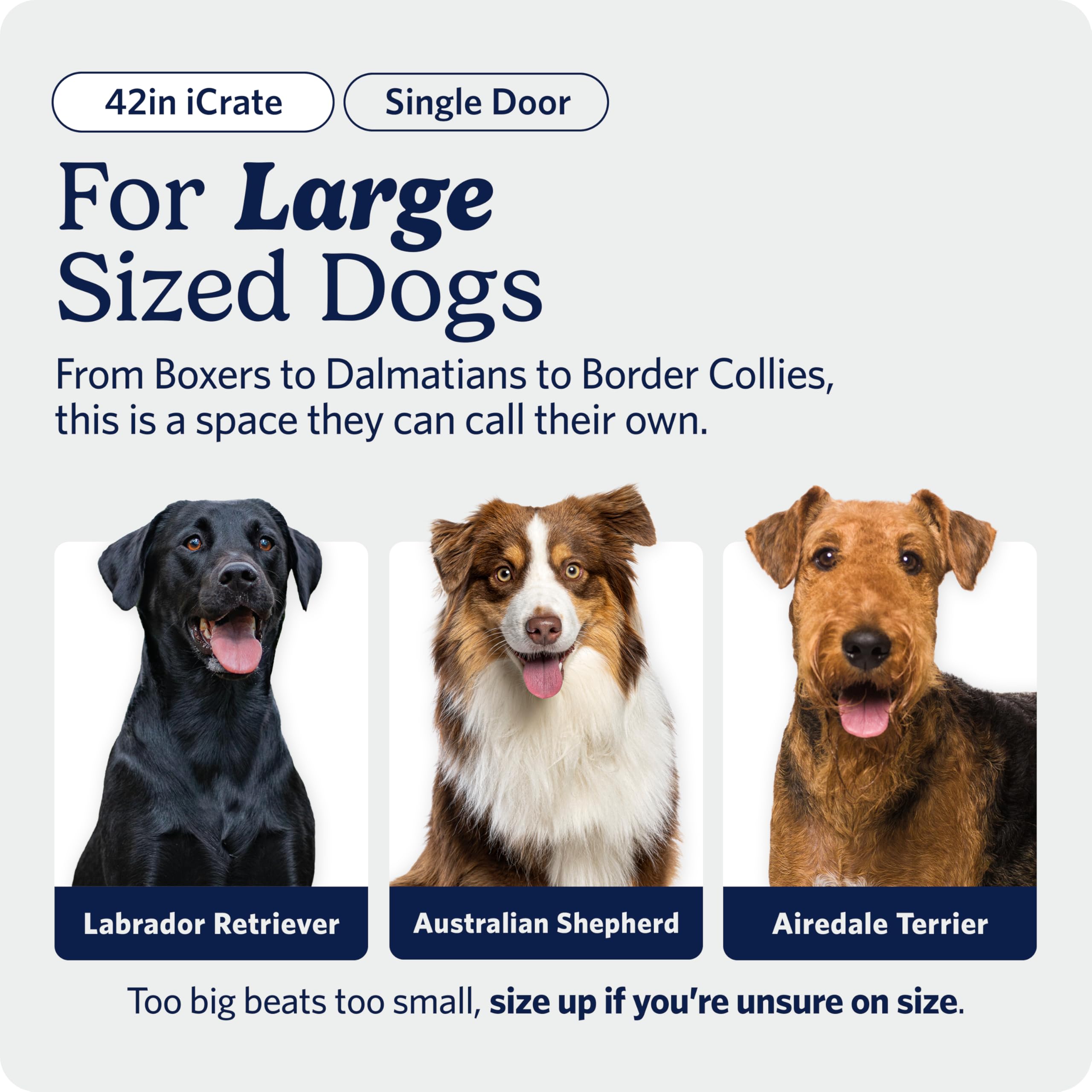 42-Inch iCrate for Large Breeds, 71-90 lbs, Single Door Folding Dog Crate with Divider Panel, Leak-Proof Tray & Secure Latch, Portable, Durable & Easy to Assemble