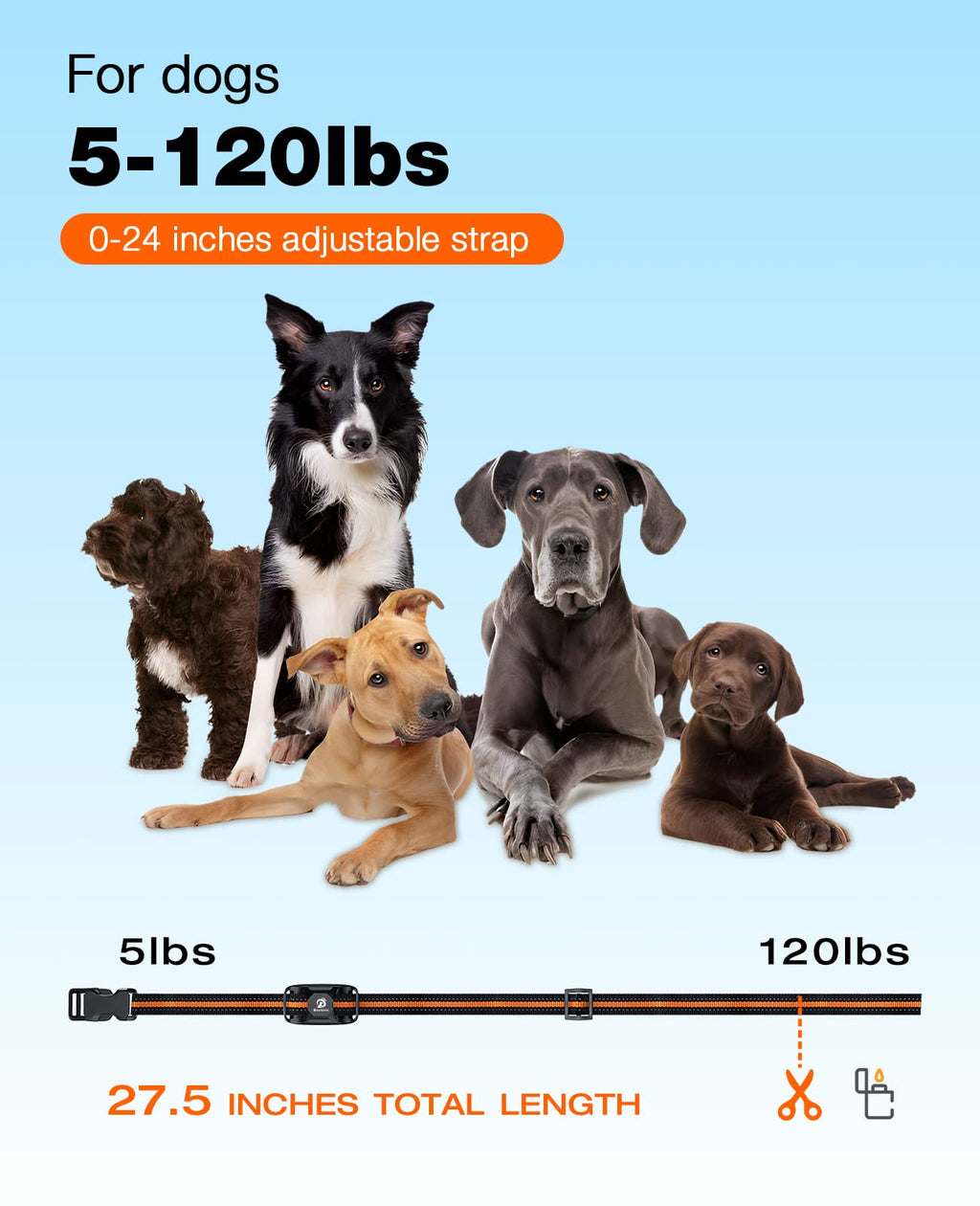 Dog Shock Collar - 3300Ft Dog Training Collar with Remote for 5-120lbs Small Medium Large Dogs Rechargeable Waterproof e Collar with Beep (1-8), Vibration(1-16), Safe Shock(1-99) (Orange)