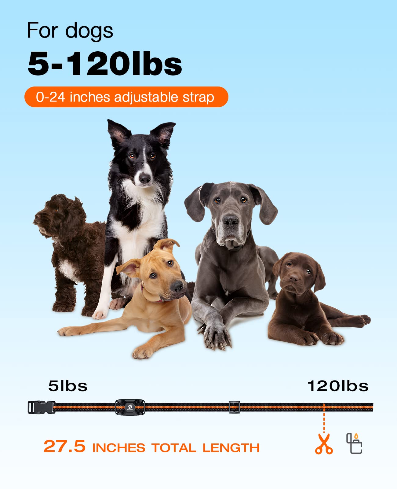 Dog Shock Collar - 3300Ft Dog Training Collar with Remote for 5-120lbs Small Medium Large Dogs Rechargeable Waterproof e Collar with Beep (1-8), Vibration(1-16), Safe Shock(1-99) (Orange)