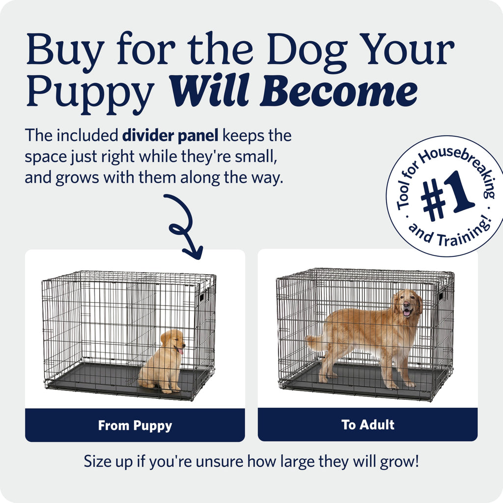 42-Inch iCrate for Large Breeds, 71-90 lbs, Single Door Folding Dog Crate with Divider Panel, Leak-Proof Tray & Secure Latch, Portable, Durable & Easy to Assemble